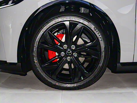 2025�� ����200�����˶���