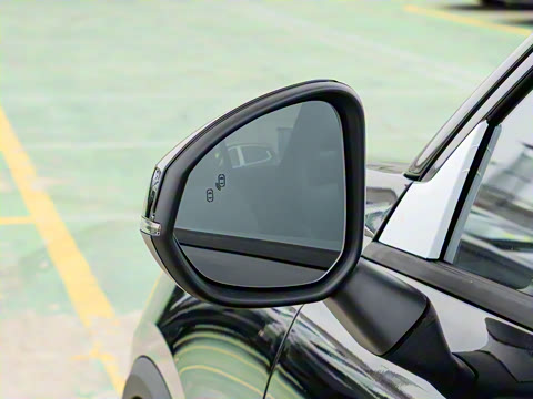 2025�� 2.0TD ��������Pro��