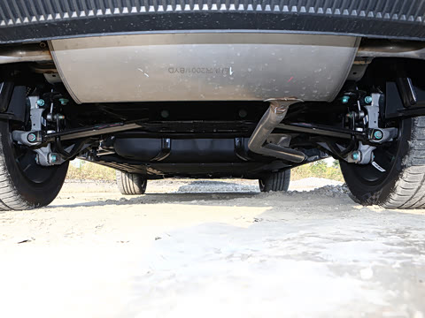 2025�� DM-i 115KM ������