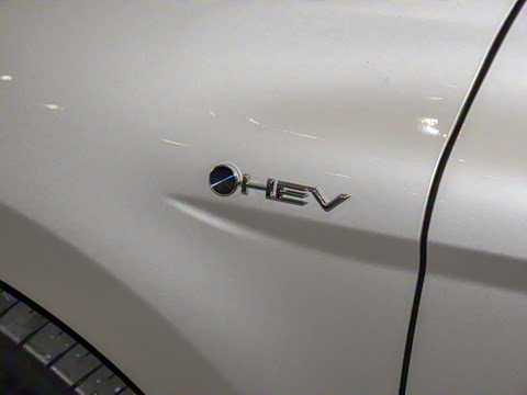 2024�� ˫�� 2.0HXS �˶�Plus��