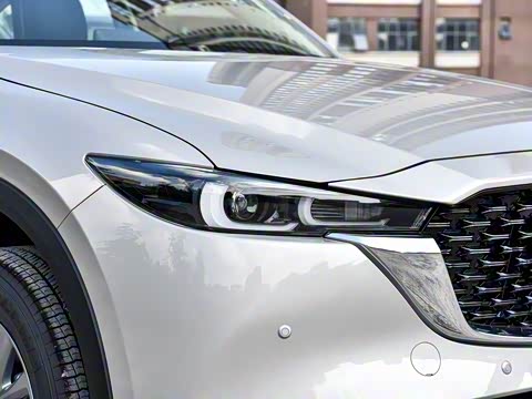 2025�� 2.0L �Զ���������Pro