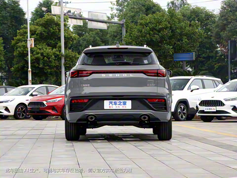 2021�� 300T DCT����������