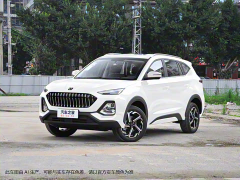 2021�� 300T �ֶ�ȫ�������� 7��