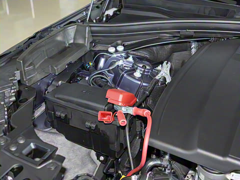 2025�� Dynamic SE