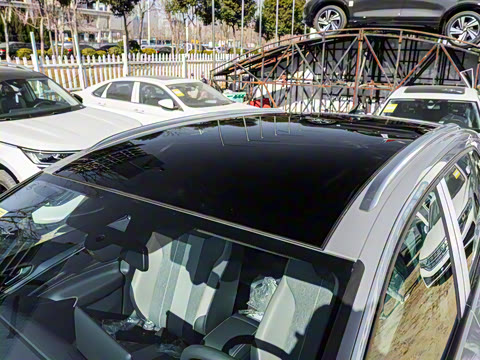 2025�� ������