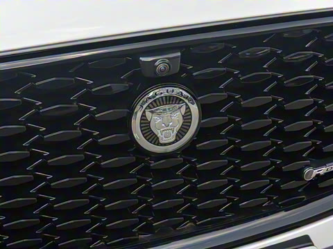 2025�� P250 R-Dynamic SE