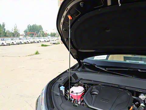 2025�� 55km ̽����