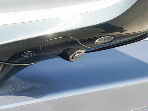 2025�� DM-i 115KM ������