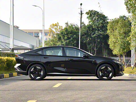 2025�� �����˶���