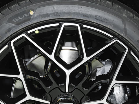 2025�� WE�� 95kWh ����