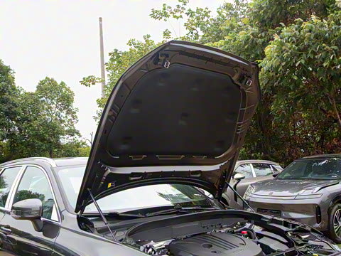 2025�� B5 �������ݺ�����