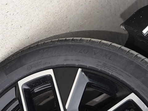 2025�� Max�����