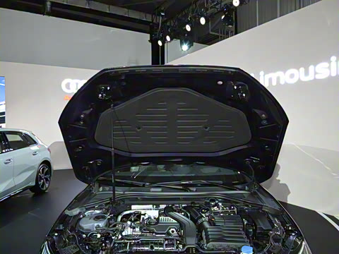 2025�� A3L Limousine 35TFSI �ɳ�������