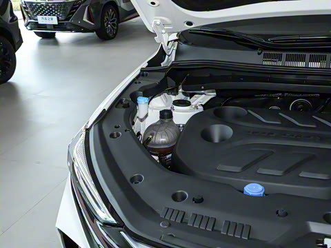 2024�� 1.5T �Զ������ 7��