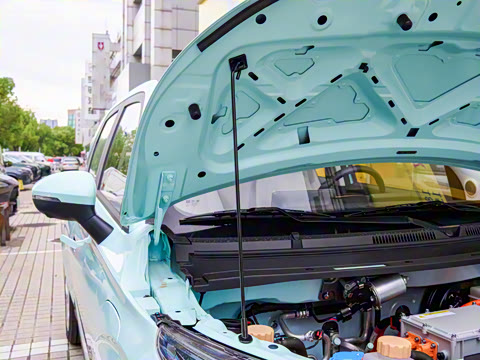 2026�� Mate 410km ����̤�˰�