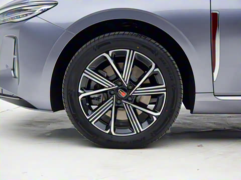 2025�� 170 �����