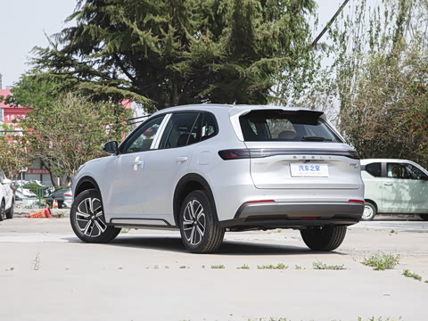 2025�� 55km ������