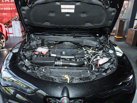 2024�� 2.0T 280HP Dragon Edition �����޶���