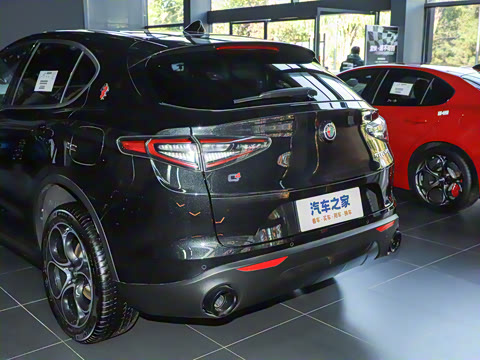 2024�� 2.0T 280HP Dragon Edition �����޶���