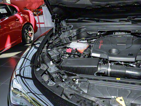 2024�� 2.0T 280HP Dragon Edition �����޶���