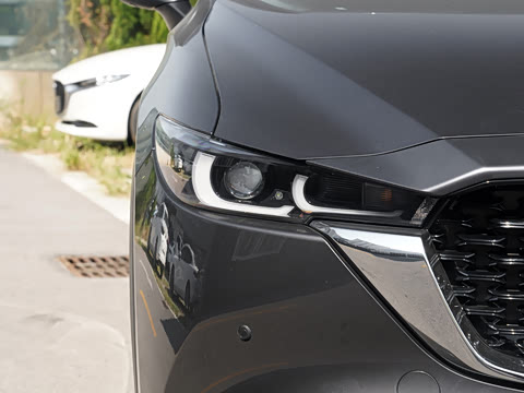 2024�� 2.0L �Զ���������Pro