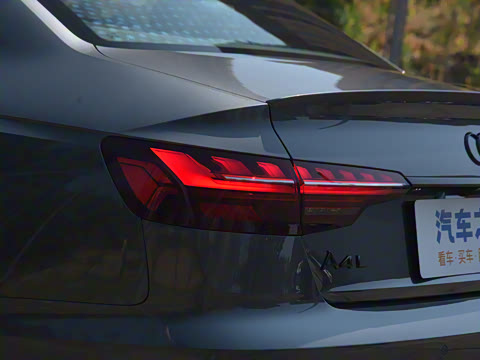 2024�� 40 TFSI ����������(��ҹ��)