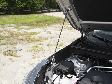 2024�� ˫�� 2.5L E-CVT��������PLUS��