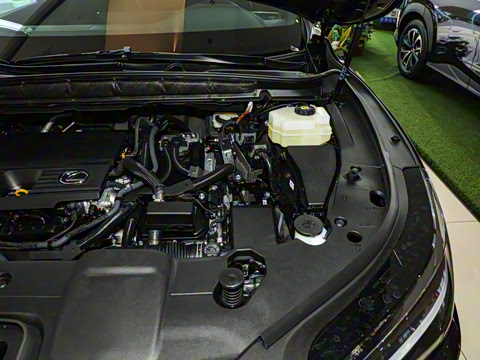 2025�� 350h ����������