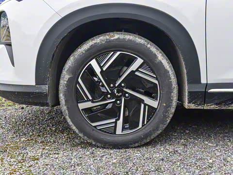 2025�� 130km �캽��