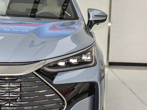 2024�� DM-i ��ҫ�� 112KM �����