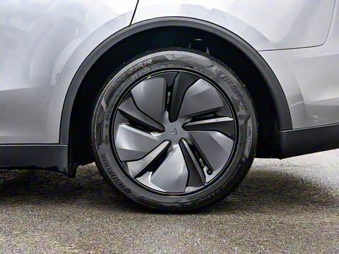 2025�� ������ȫ��������