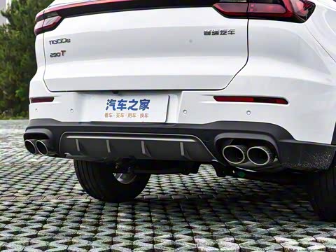 2024�� ������ 290TGDI �Զ����+�� 5��