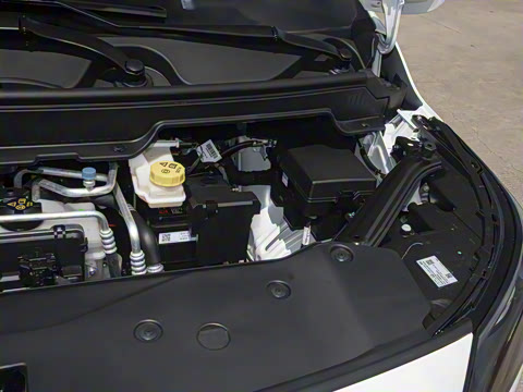 2025�� Plus 510 �Ǻ���