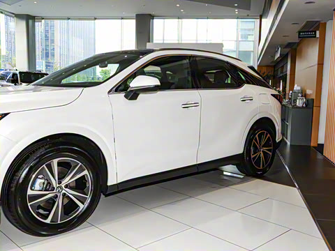 2023�� 350h ����������