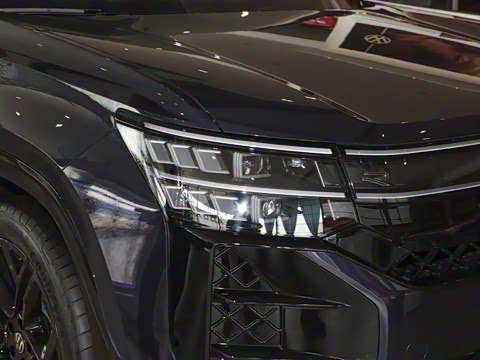 2025�� ;�� Pro 450TSI �����Ƿ��