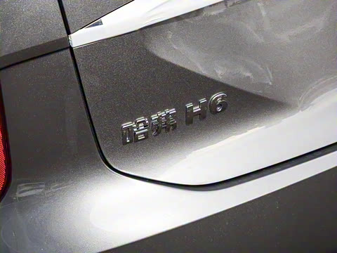 2024�� ������ 2.0T �Զ�����Max