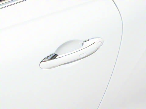 2024�� 4.0T GT V8 �ŶȰ�