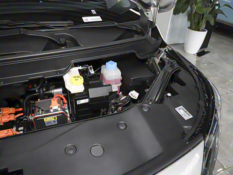 2024�� Younger ��ҫ��