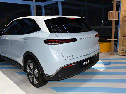 2025�� 565km ������