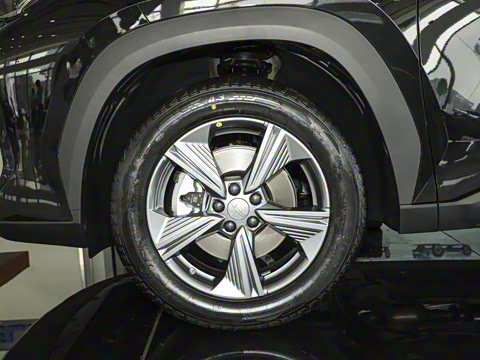 2025�� ���Ĵ� 1.5TD DCT �﷫