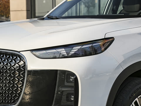 2025�� 1.5T 116km ������ 5��