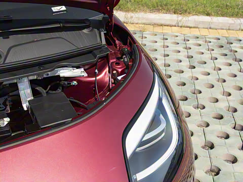 2025�� 330��ҫ��