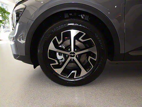 2025�� 1.5T ����������