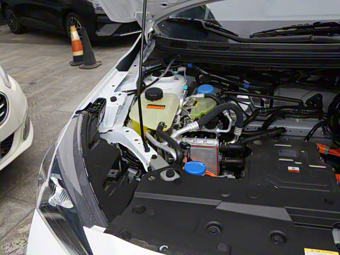 2025�� PRO ���а�