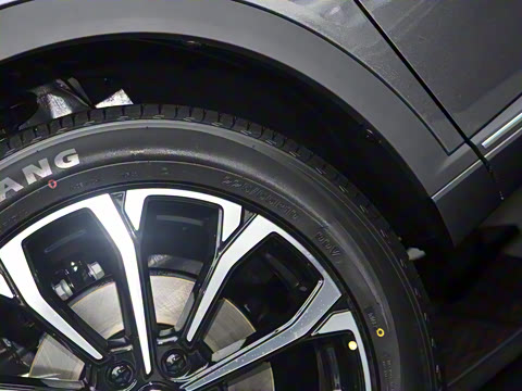 2025�� ����� 125 ��Խ��