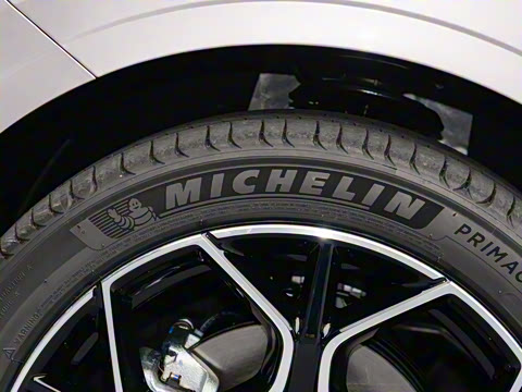 2025�� ���� ����� 230 �콢��