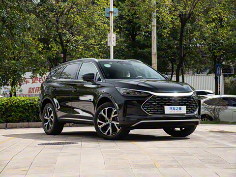 2025�� DM-i 115KM ������