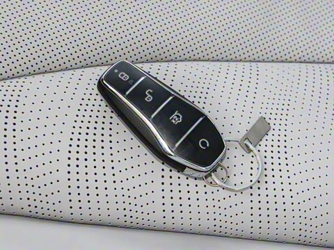 2025�� DM-i 150KM������