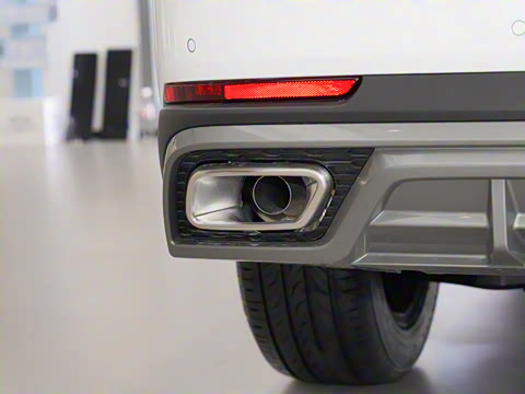 2025�� 290T ����������