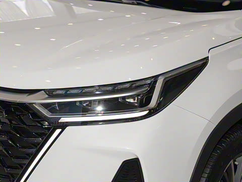 2025�� 290T ����������